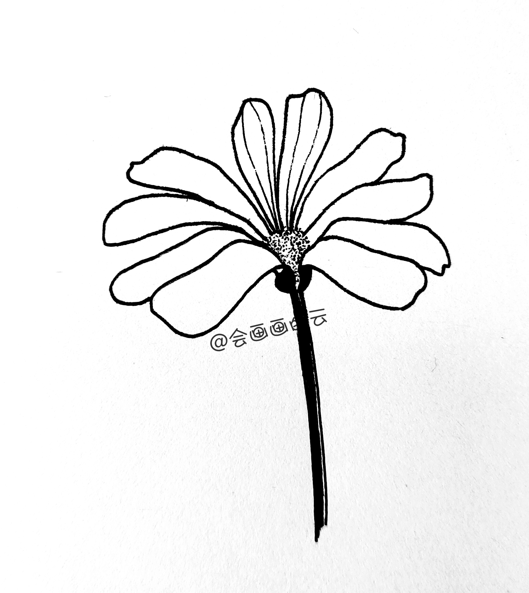 小花怎么画初学者(超简单的花朵画法教程)