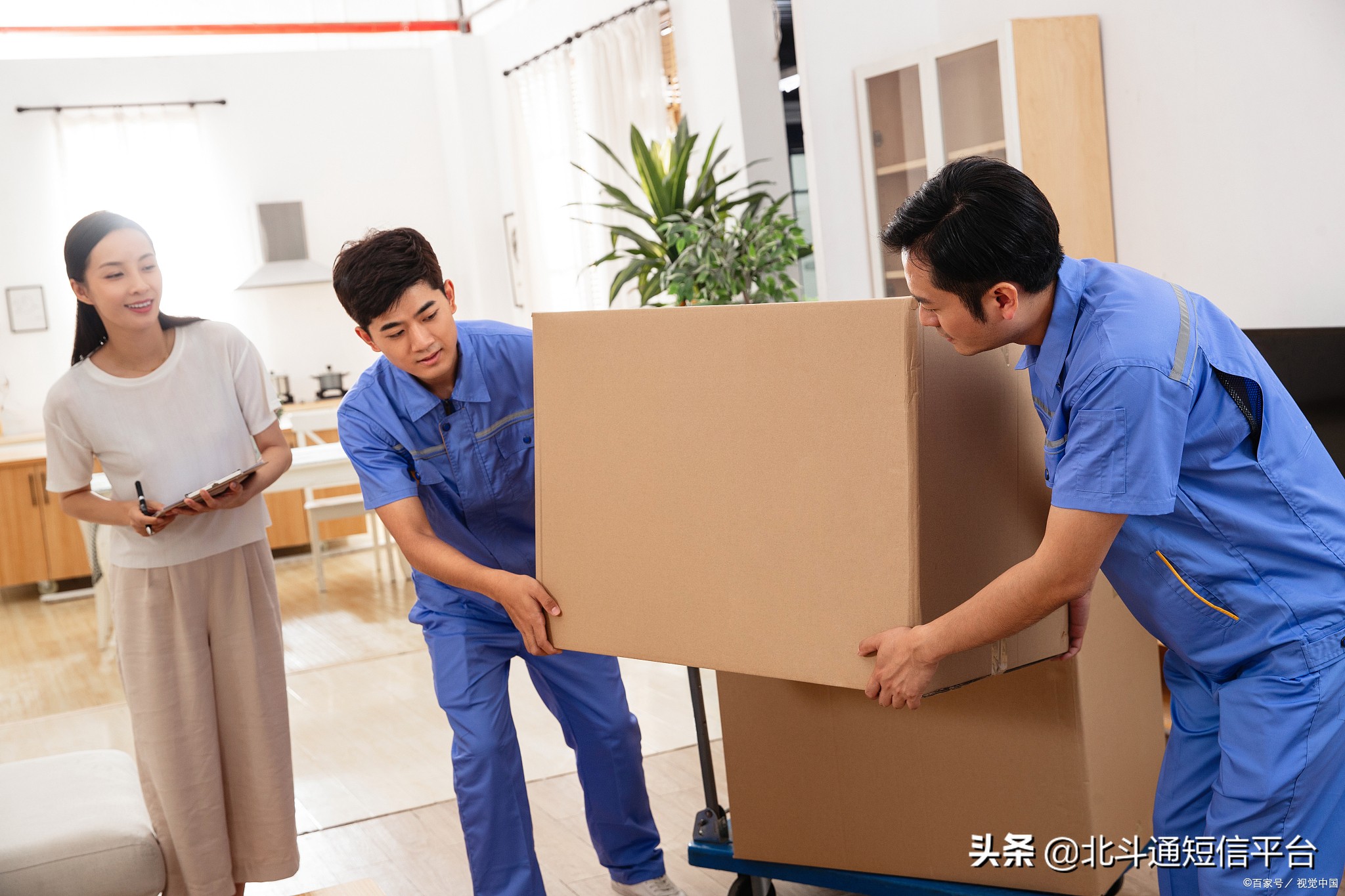 诚邀您莅临办公室共襄盛举