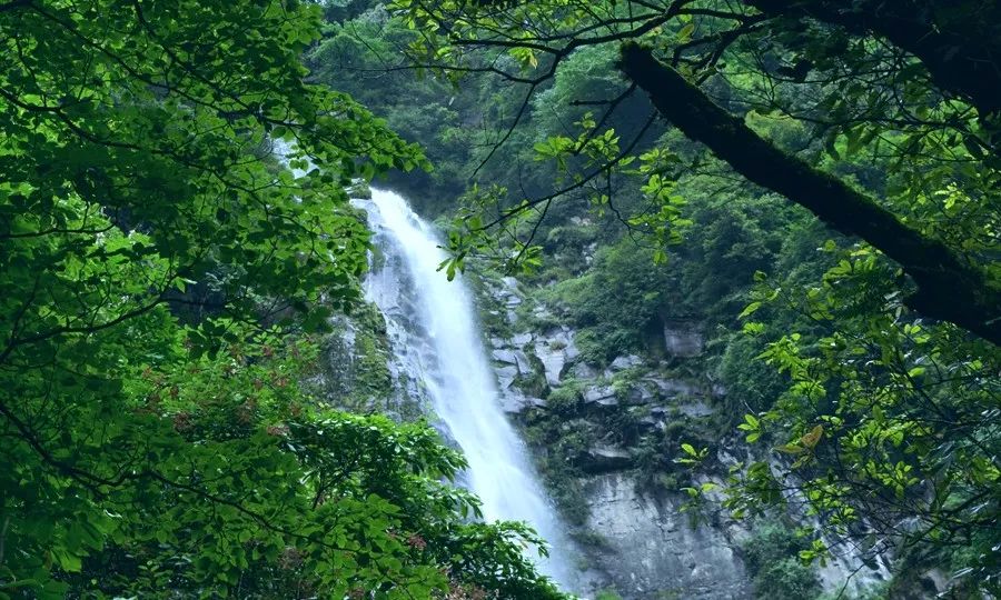 游山玩水好风光！四川适合全家出动的3日游攻略，去几次都不腻