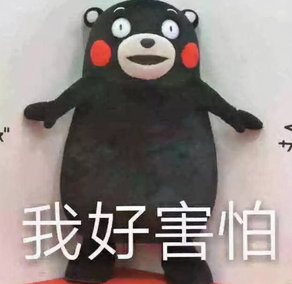 高考体检要“脱光光”？学生的无知闹出乌龙，有人吓成表情包