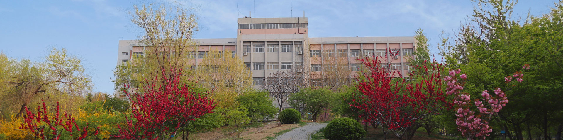 廊坊师范学院2020年招生计划，2019年各专业录取分数