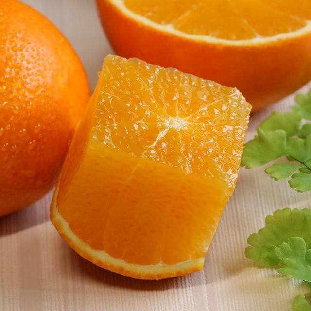 橙子seo(橙子色配什么颜色好看)