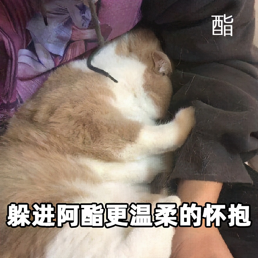 抗衰产品大起底，这 10 款性价比超高，不比医美差