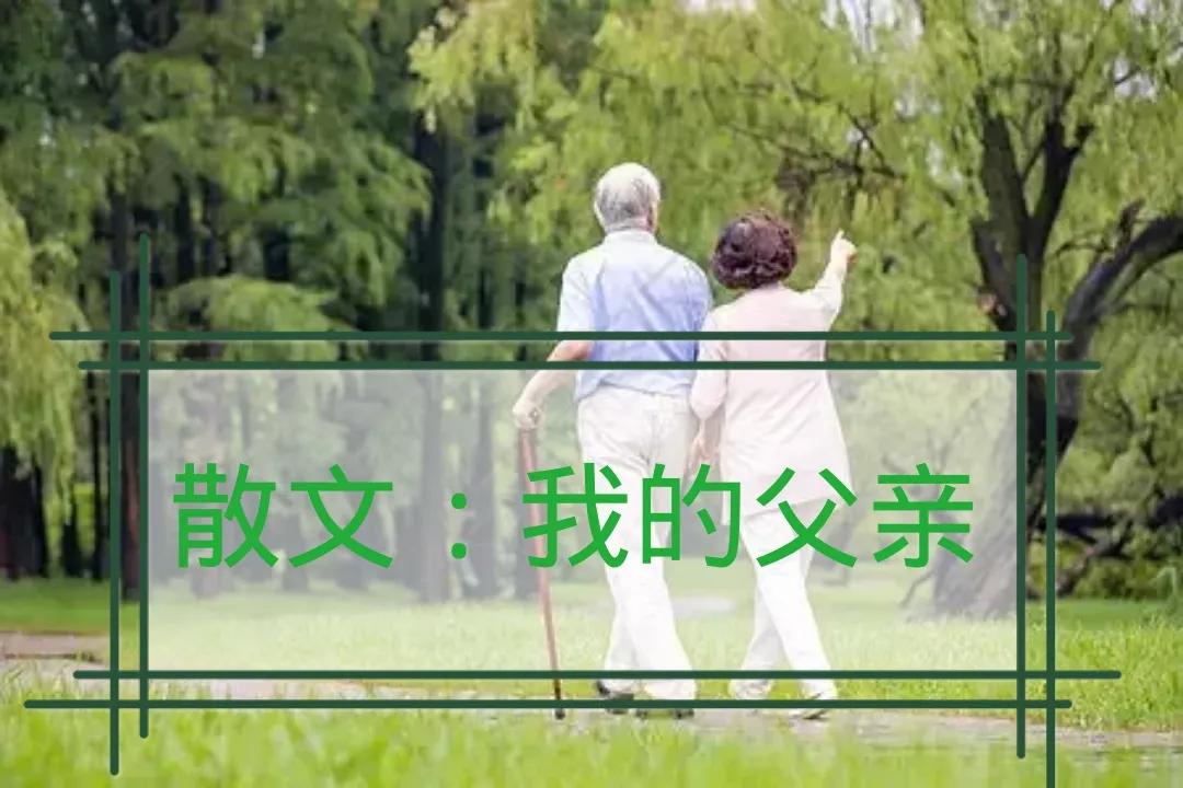 晨雾轻笼田埂，炊烟袅袅升起，鸡鸣犬吠间，乡村在静谧中苏醒。