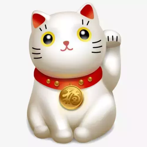 关于招财猫
