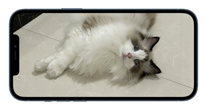 iPhone 12 的相机过度锐化？这里有几个解决办法