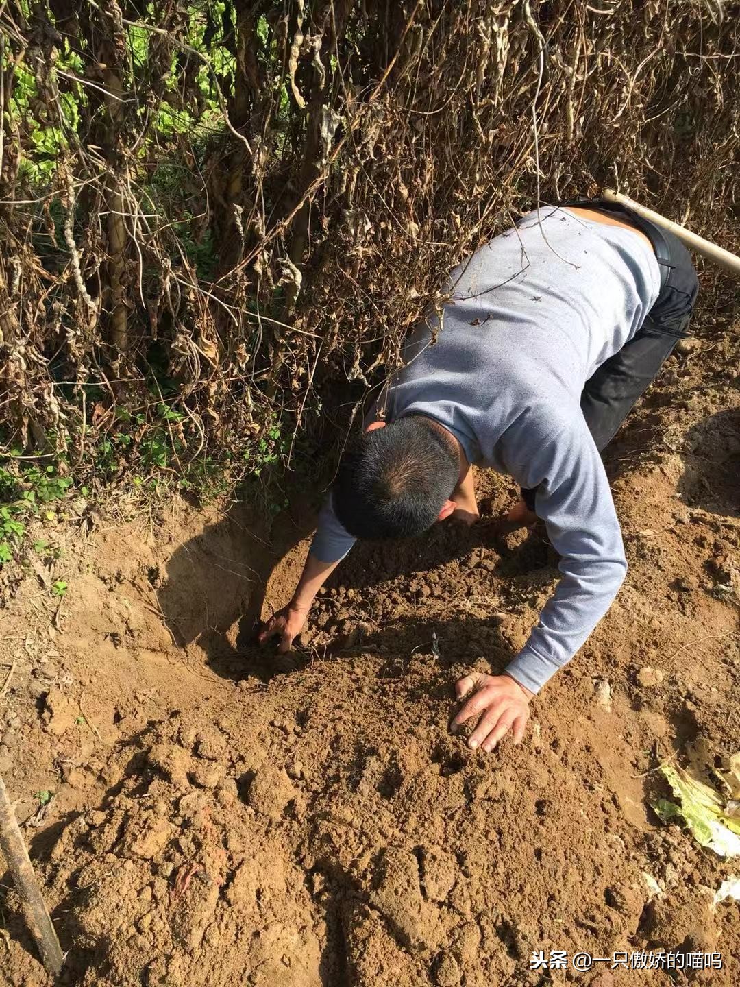 孩子脾胃差、吸收不好怎么办？常吃这样食物，调理效果看的见！