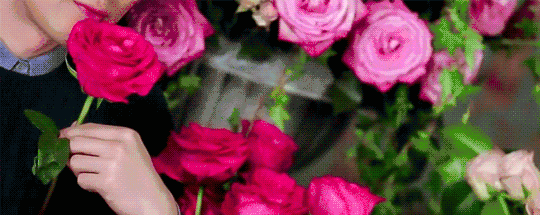 高考在即，黄冈中学名师教你各科踢好