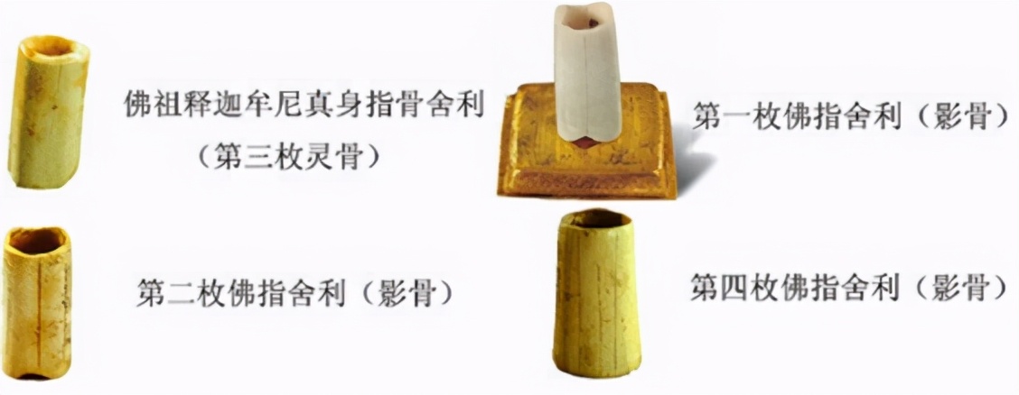 舍利子真的有那么神奇吗？只有得道高僧才有么？