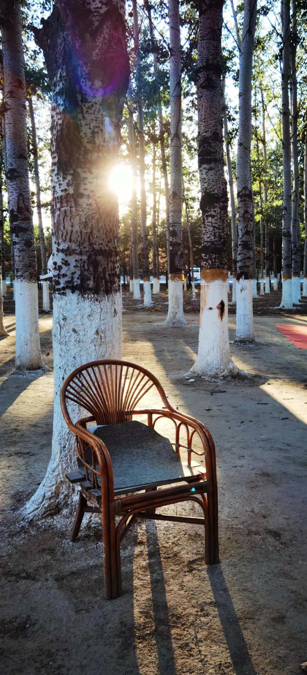 手拍世界（手机摄影平台）-群员作品集（总第733期）