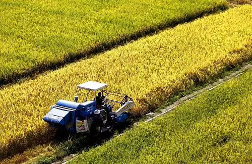 「農(nóng)用工具」科普篇：農(nóng)機具購置補貼政策，及申領流程和注意事項