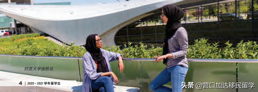 留学加拿大可以选择哪些学校？