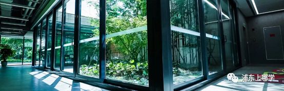 浦东最美的7所小学大PK！颜值爆表