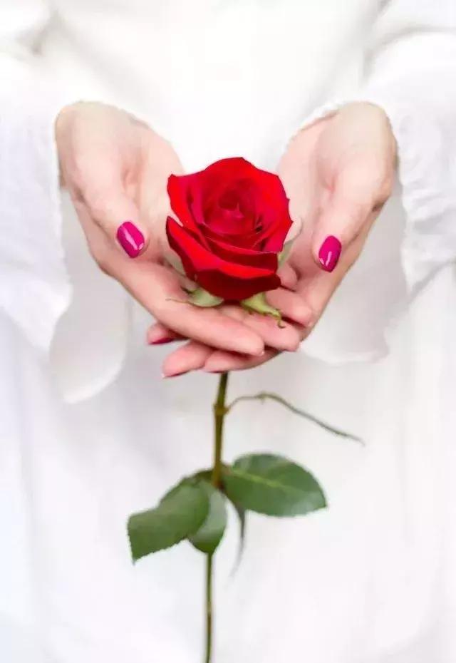 予人玫瑰,手有遗香