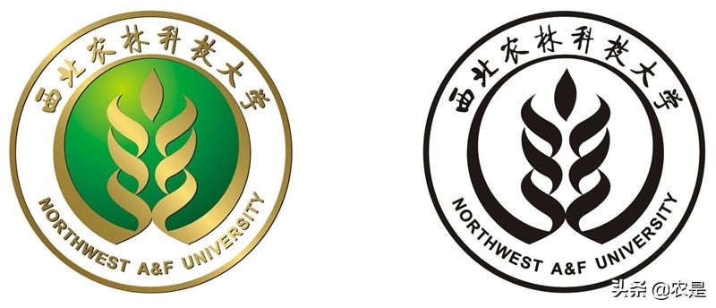 胡建宏，西北农林科技大学教授，博导，动物生殖生理专家