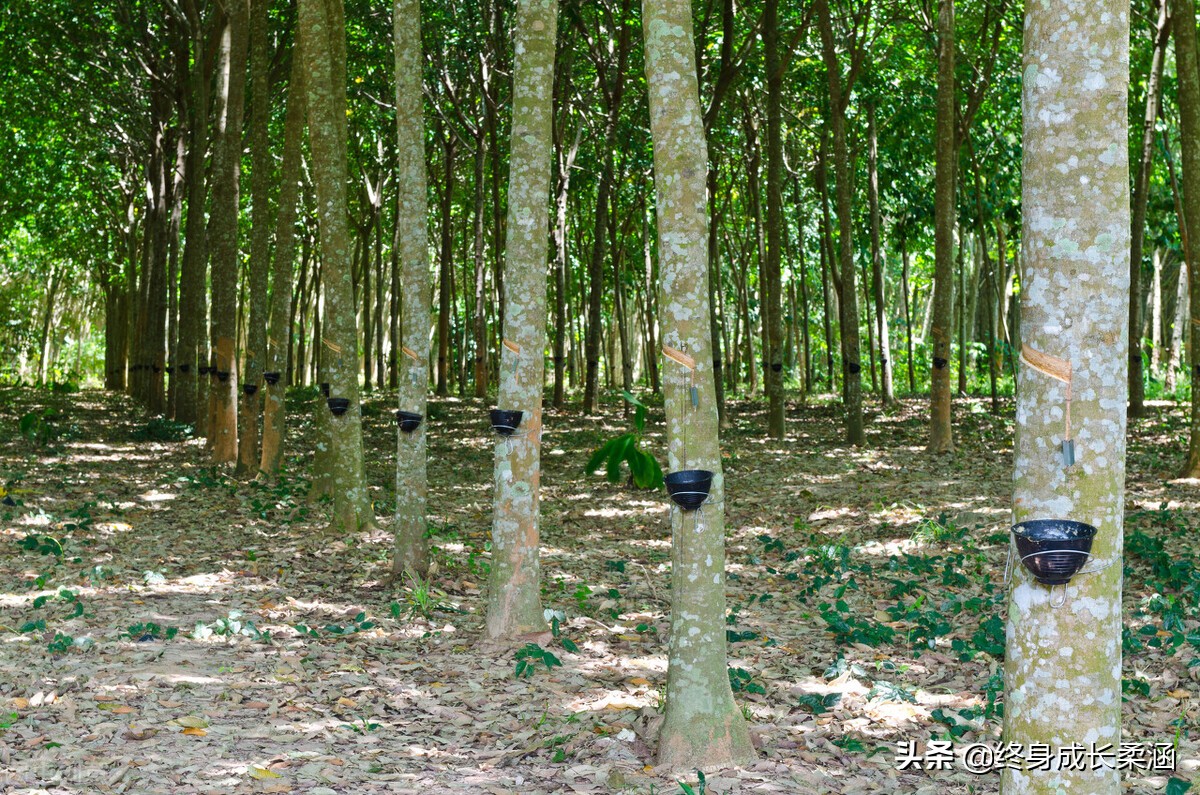 《论语》中的人际关系智慧：孔子教你如何处理社会交往与人际和谐之道