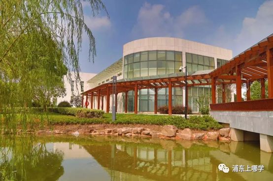 浦东最美的7所小学大PK！颜值爆表