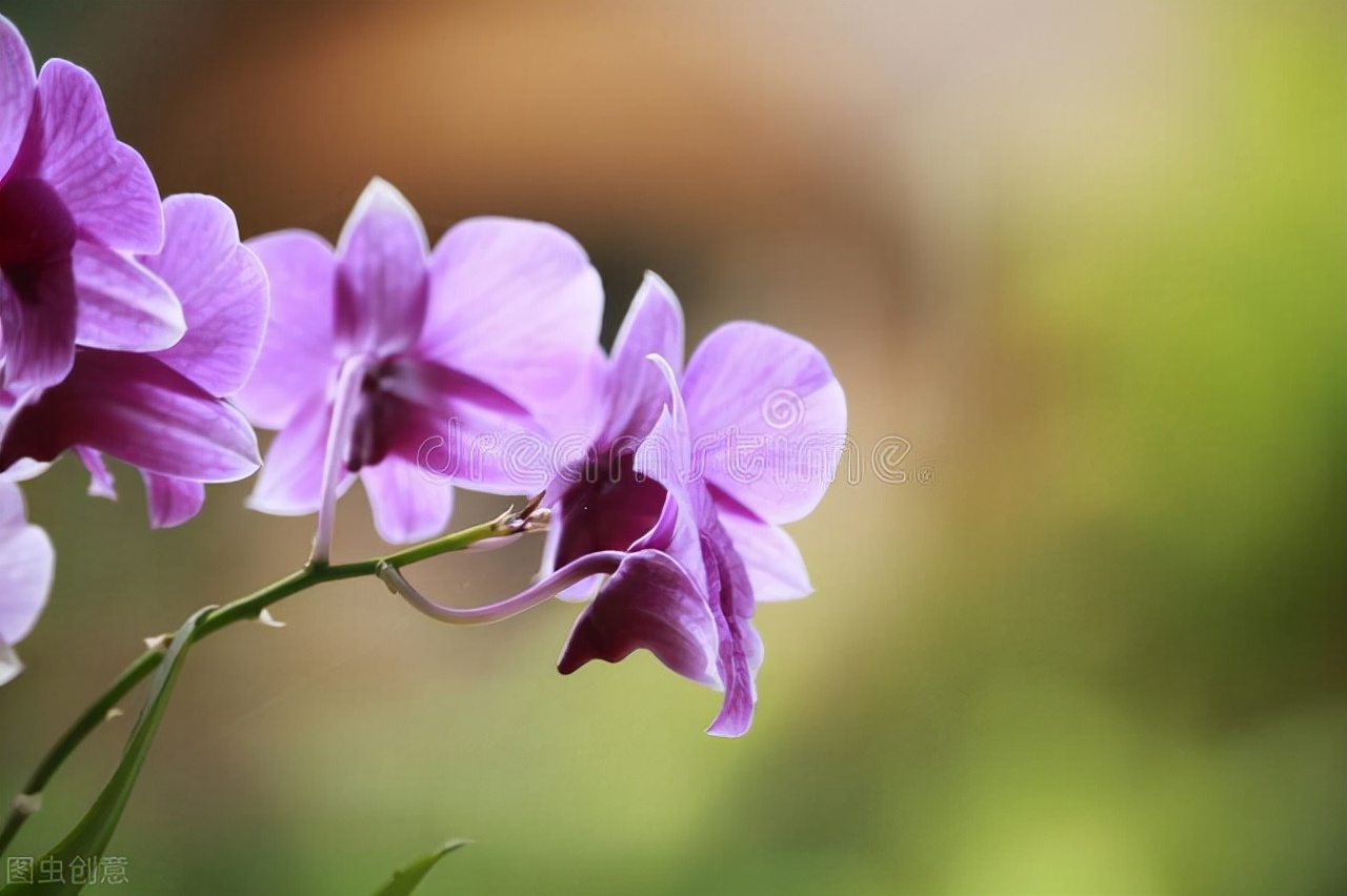 进会计师事务所做审计有前途吗？