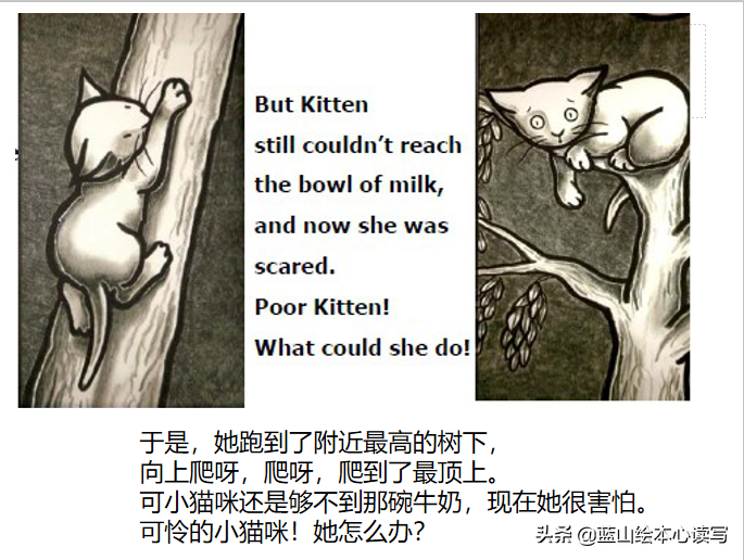 黄磊女儿多多翻译凯迪克金奖绘本   3要3不要让阅读变甜