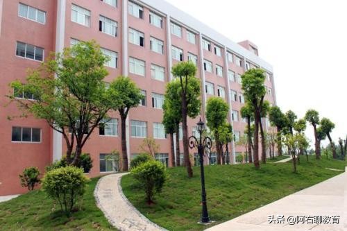 中南“小211”，拥有“家具学院”，林学、生态学不错！