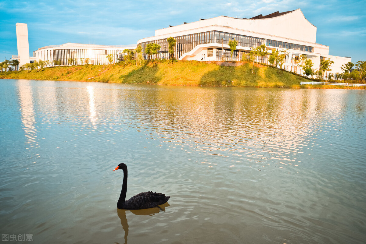 1所211大学，4年内7位院长被挖走，背后原因有哪些？