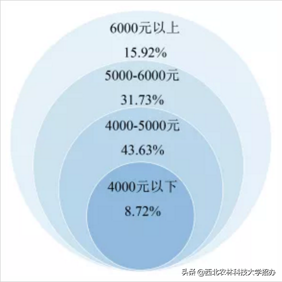 25个专业就业率100%，世界500强都来