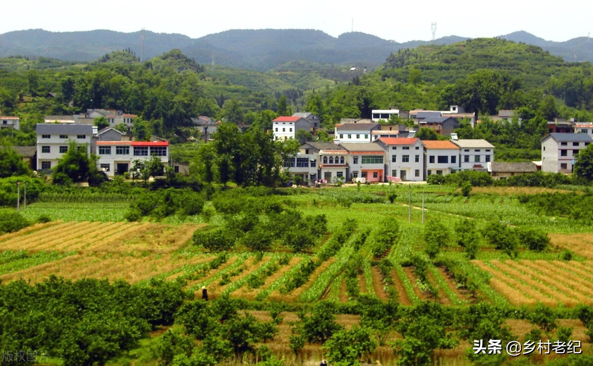 农村实行土地流转对农民来说有什么发展前景