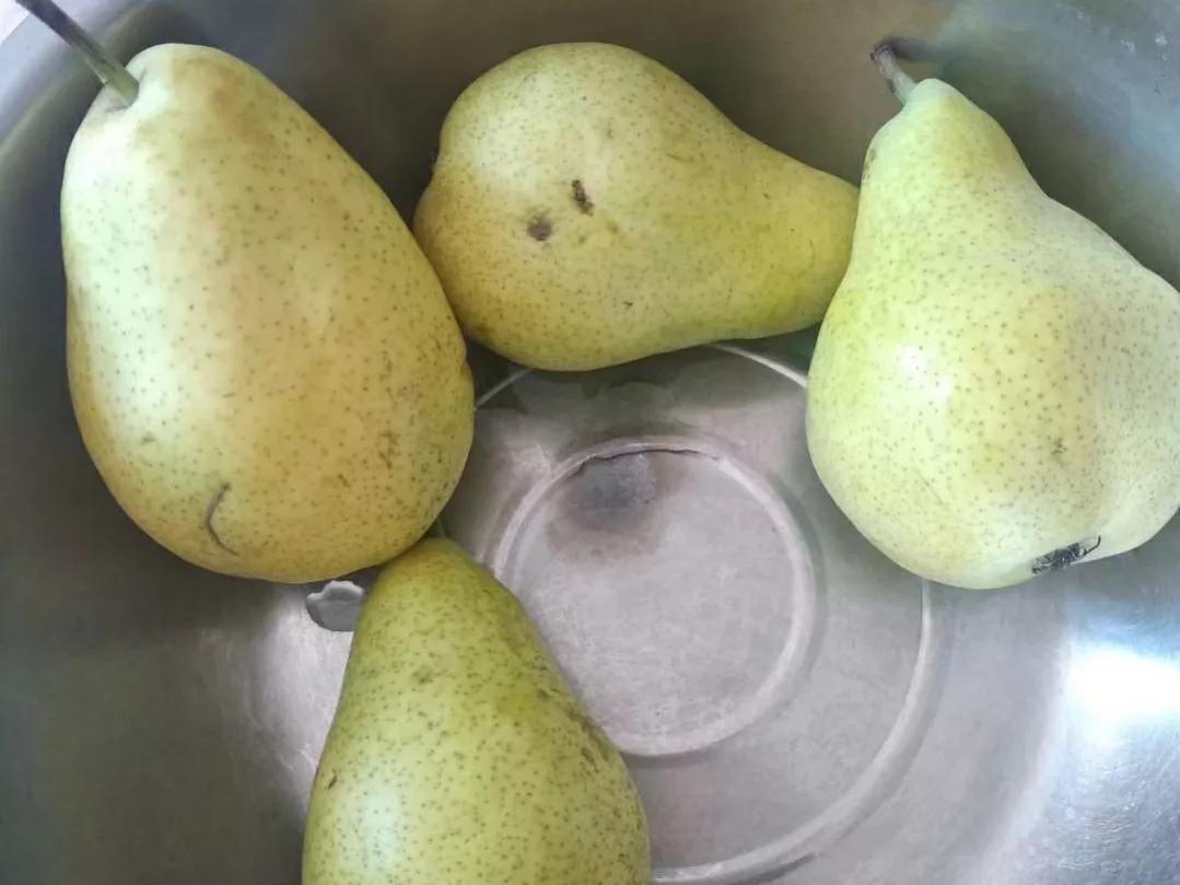 最全梨的品种图片(中国有名的10大名梨)