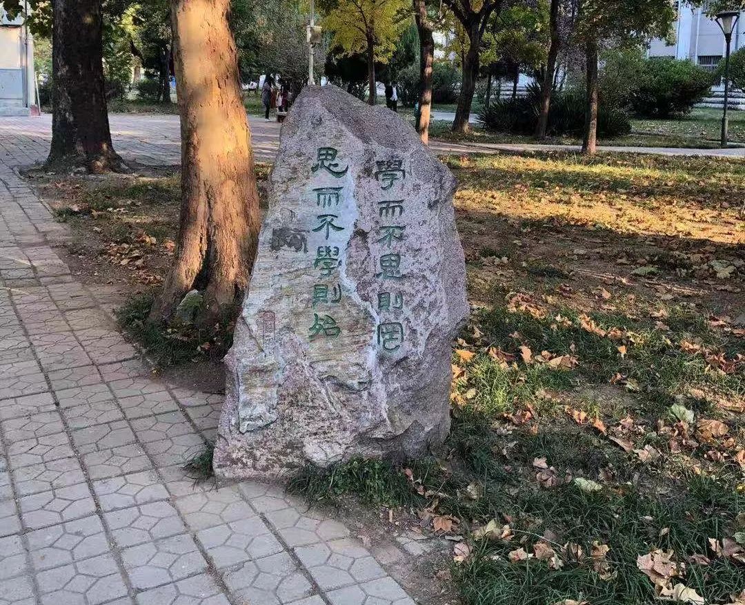 我的母校曲阜师范大学：有光的地方，就有人在学习。