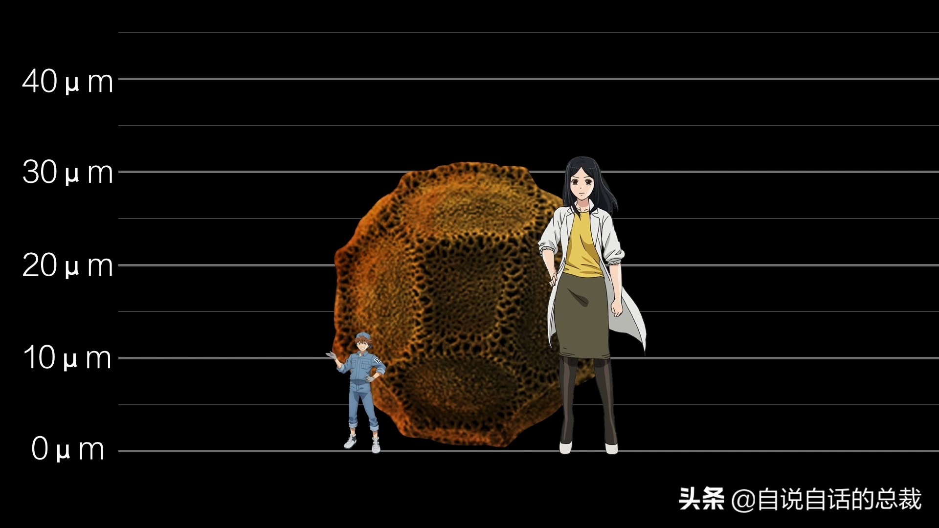 当你爆发过敏性鼻炎时，这就是你体内发生的故事