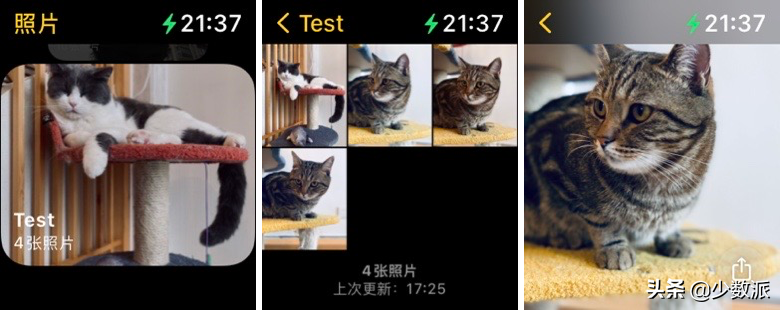 watchOS 8 推出首个公测版，你的苹果手表有了这些新功能
