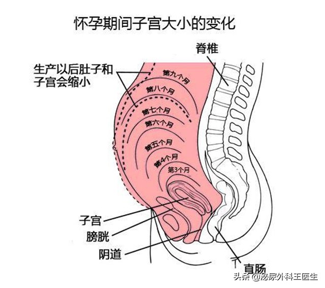 女人切除子宮，对性生活有什么影响呢？
