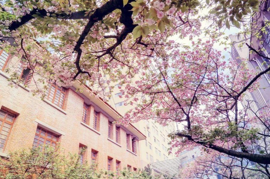 贵州师范大学2020届本科毕业生：就业率85.55%