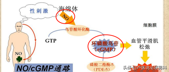 每片不到1块钱的缬沙坦可以降压，还可以改善阳痿，你了解它吗？