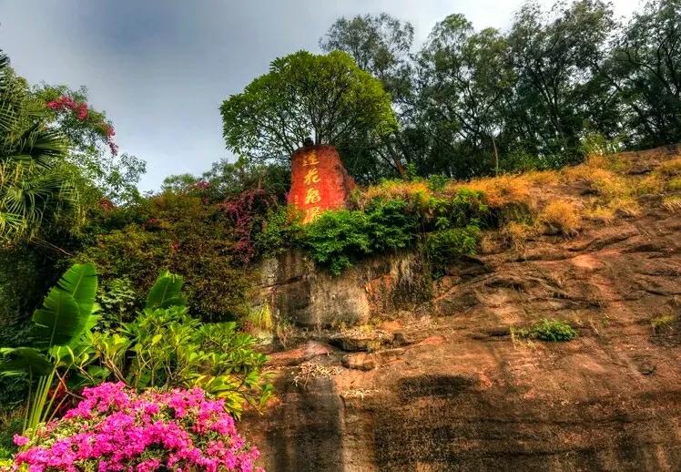 东莞7座免费山峰，景美人少故事多，可能你还没来过