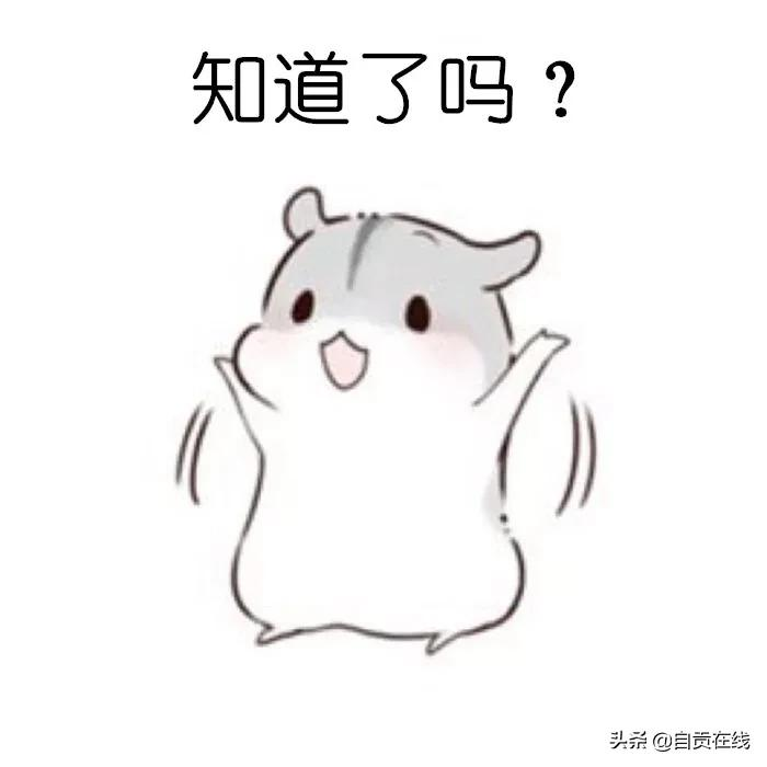 西南交大希望学院落户自贡？官方回复来了......