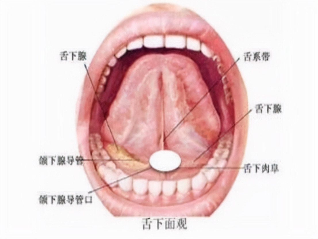 速效救心丸，你使用正确了吗？