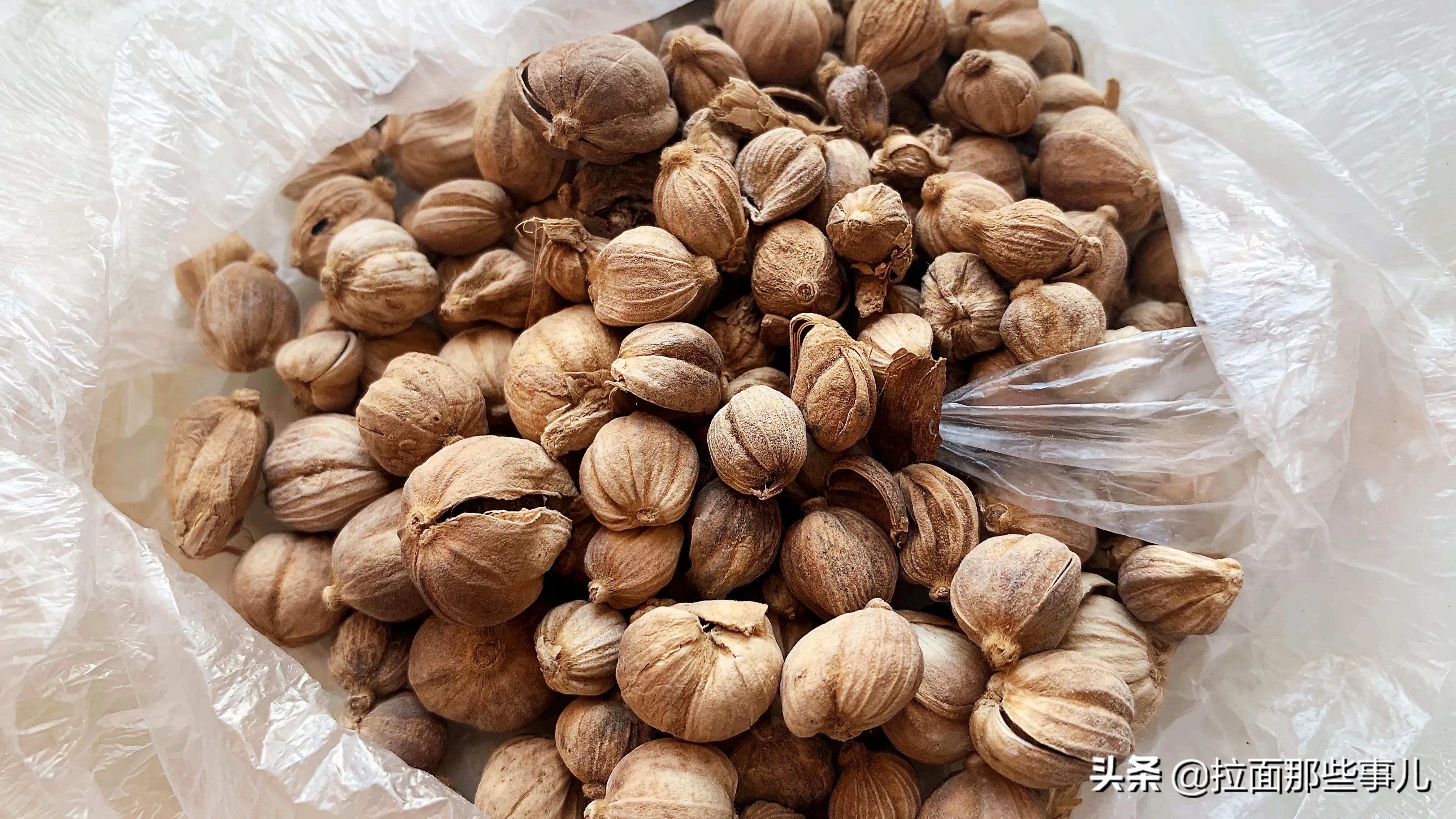 香菜籽的功效与作用(香辛料宝典) - 行就行