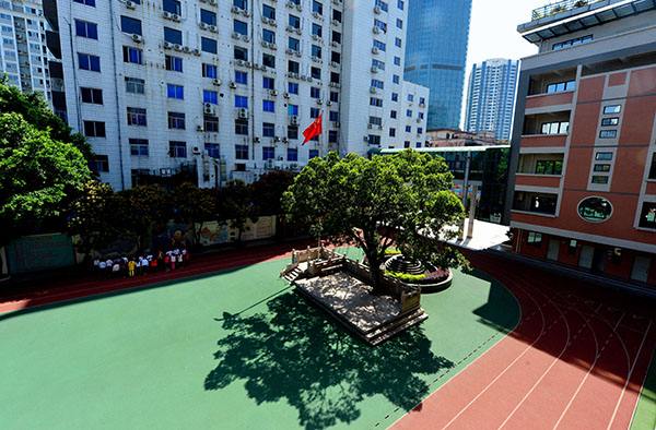 “树阴照水爱晴柔”一句，是“树阴”还是“树荫”