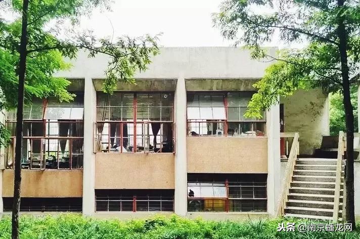南京信息工程大学，又火了！