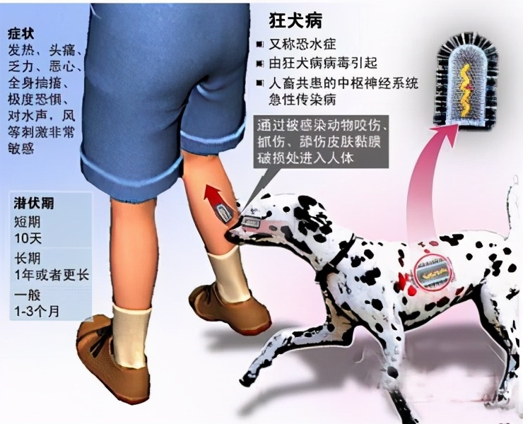 「科普」十大致命病毒，埃博拉只能排第二，第一名曾屠杀上亿人