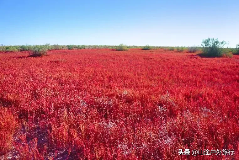 稻城亚丁在哪个省（稻城亚丁景点的全攻略）