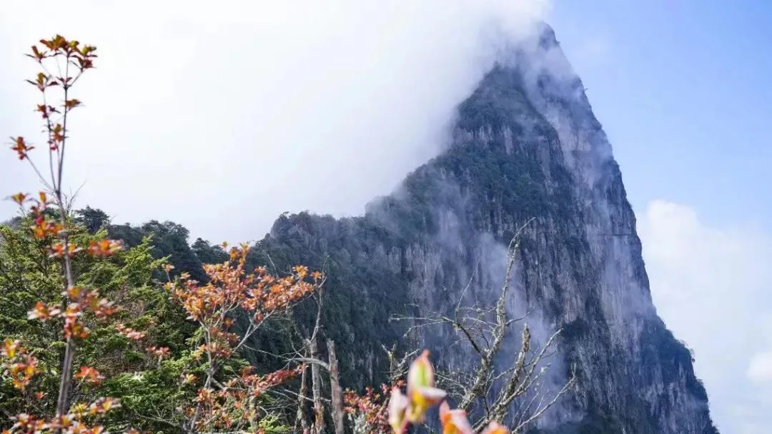 不收门票的世界级风景！赏万亩夏花、观云海日出…成都2天耍来回