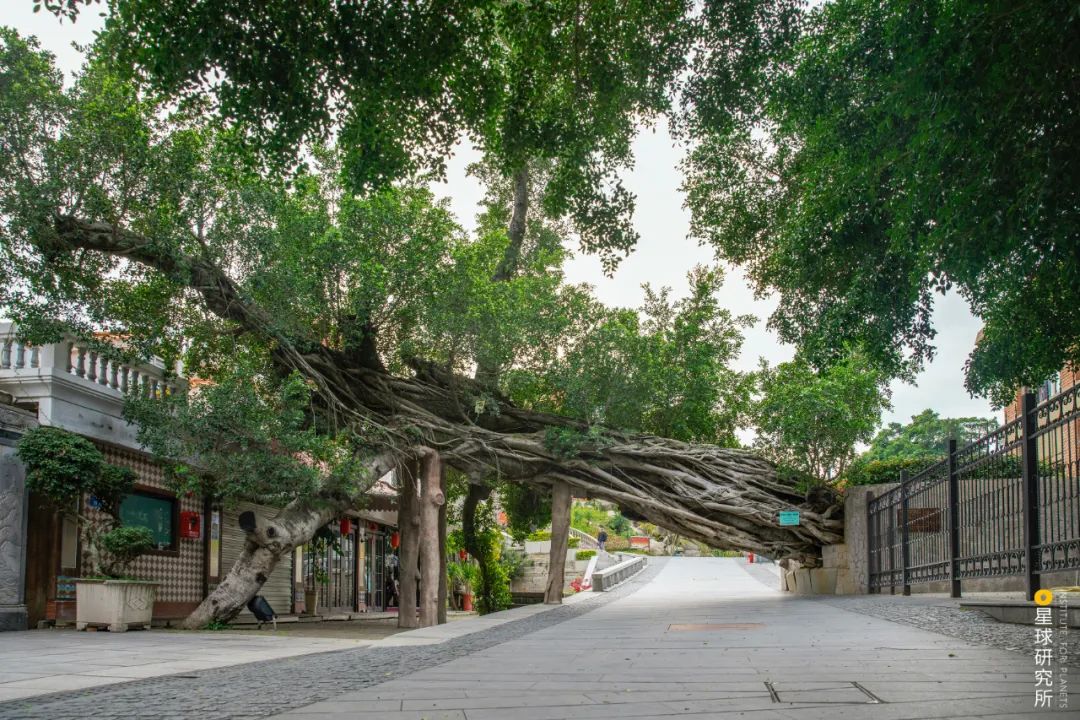 厦门：中国人的海上花园