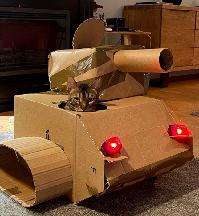 儿童坦壳图片手工制作(网友给家里的猫打造纸箱坦克) - 赤虎壹号