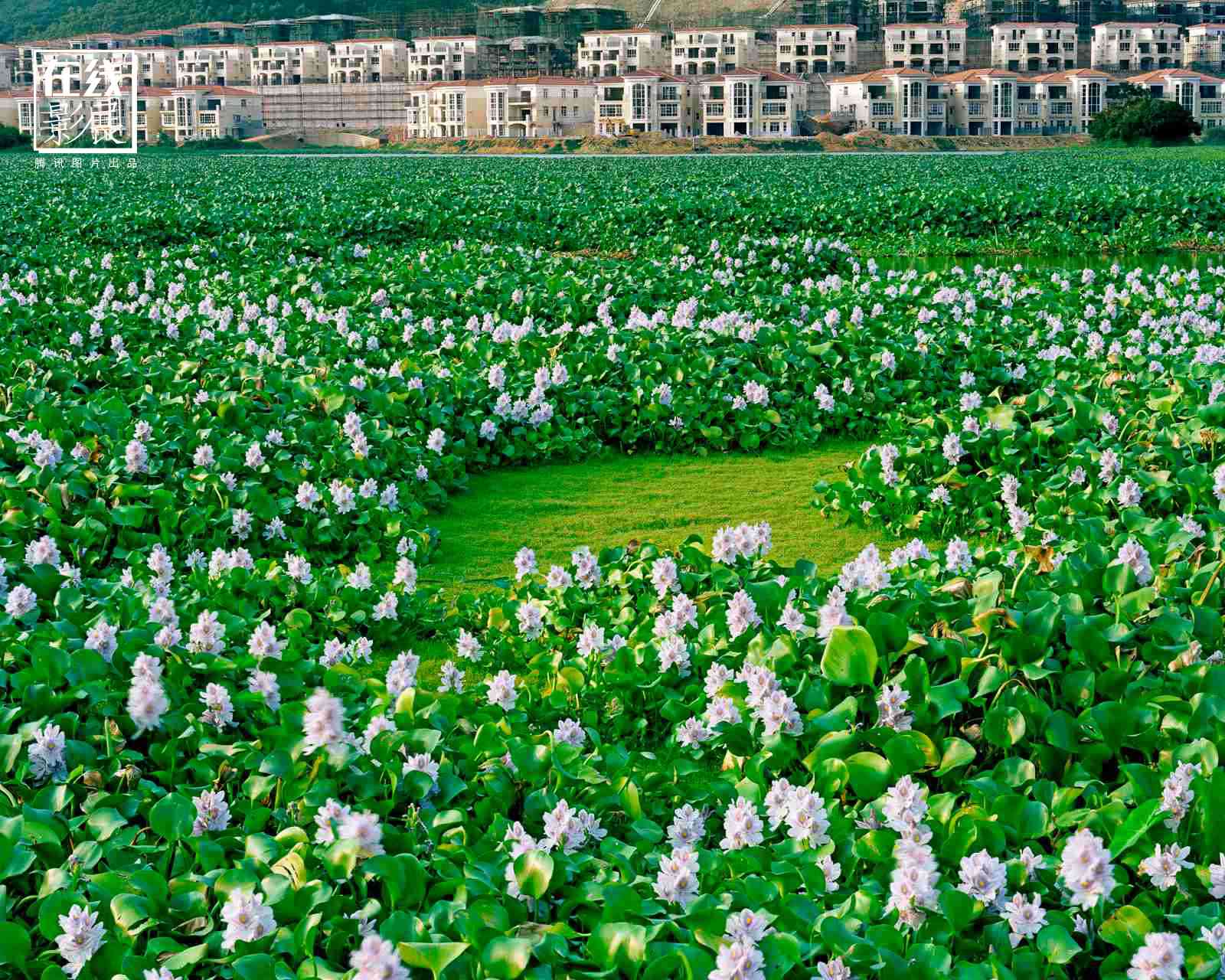 顺德碧桂园物业维修部门全套规章制度