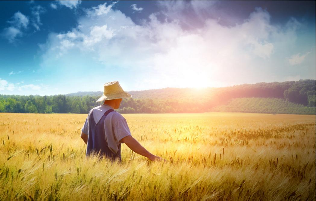 全国43所农林类本科大学，分三档，有哪些就业好的专业？