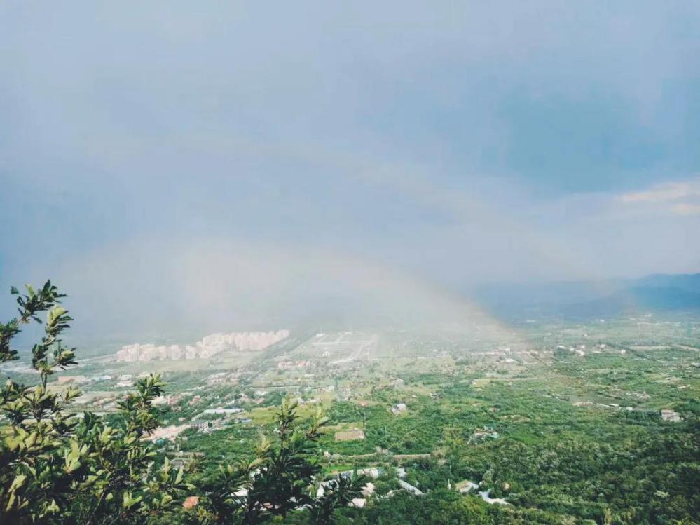 北京林学院（北京）