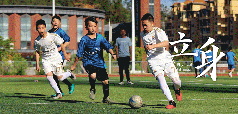 2021最美秋冬景致精彩袭来！天立校园超精彩，天光叶影共徘徊