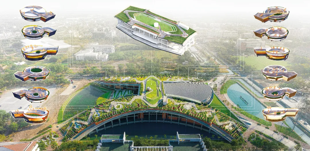 泰国国立法政大学城市屋顶农场——校园里的循环经济